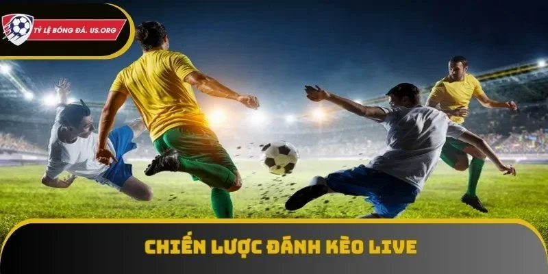 Một chiến lược chuẩn cho việc đánh kèo live là điều hết sức cần thiết