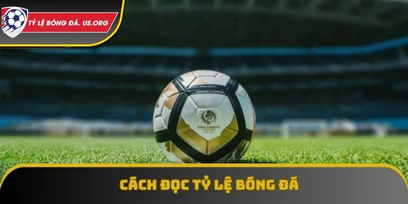 Bet thủ muốn thành thạo cá cược thì đều phải đọc tỷ lệ bóng đá hôm nay “răm rắp”