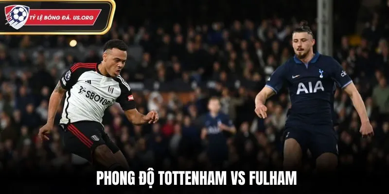 Soi kèo Tottenham vs Fulham - Phân tích kết quả phong độ gần đây