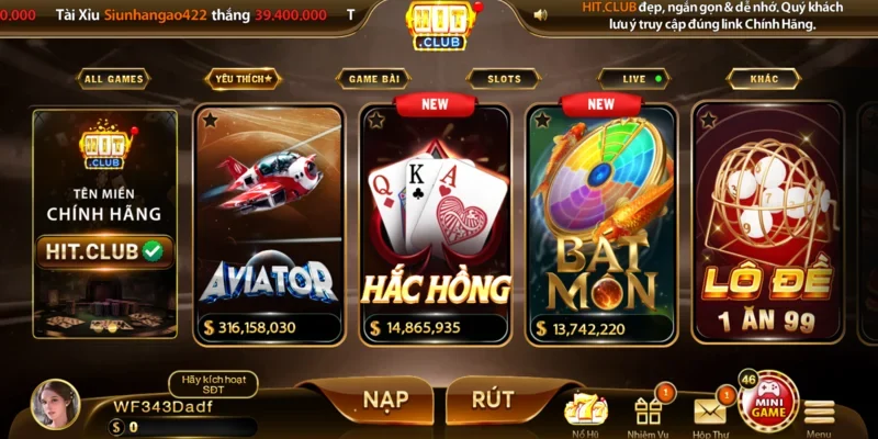 Xem xét domain và giấy phép hoạt động